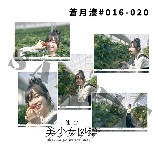 仙台美少女図鑑 宮城美少女図鑑 By R Project