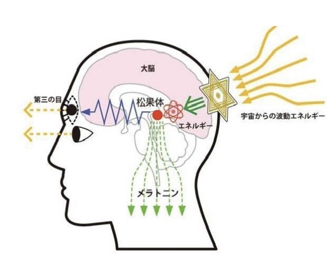 松果体活性化 遠隔 1回 Transformati