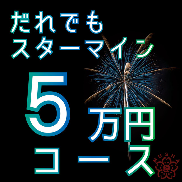 ５万円コース 東信エリア限定 だれでもスターマイン 武舎煙火工業