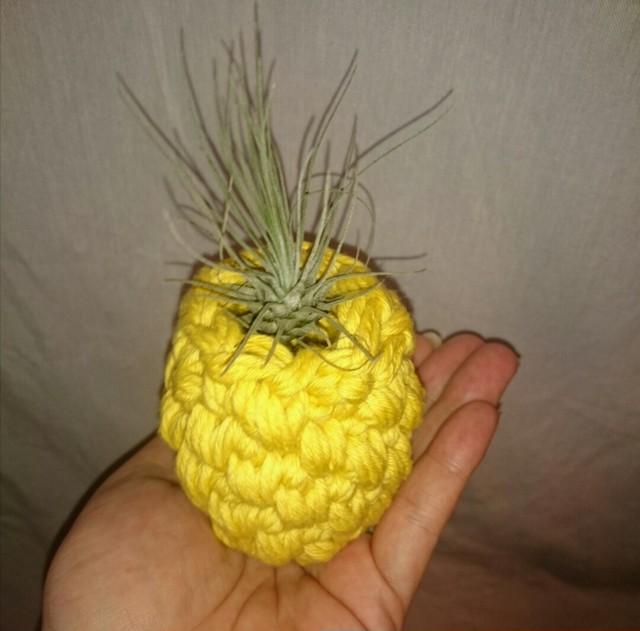 手編みのエアープランツと鉢 パイナップル風 鉢カバー 大人の天然石 アクセサリー材料パーツshop ぶらんぴじゃっと