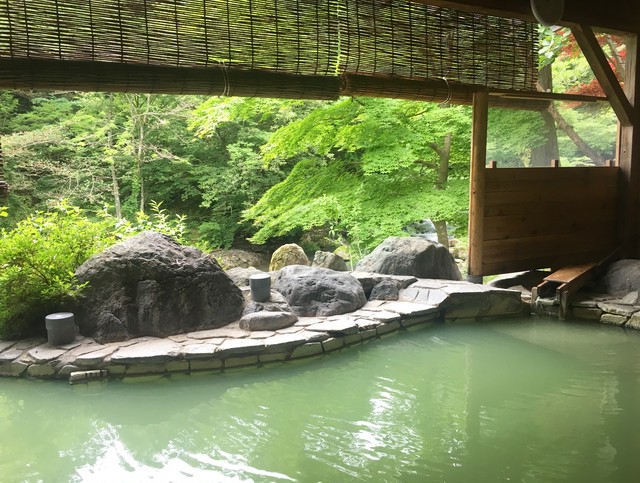 元泉館の温泉の素 10包 Shiobara Onsen