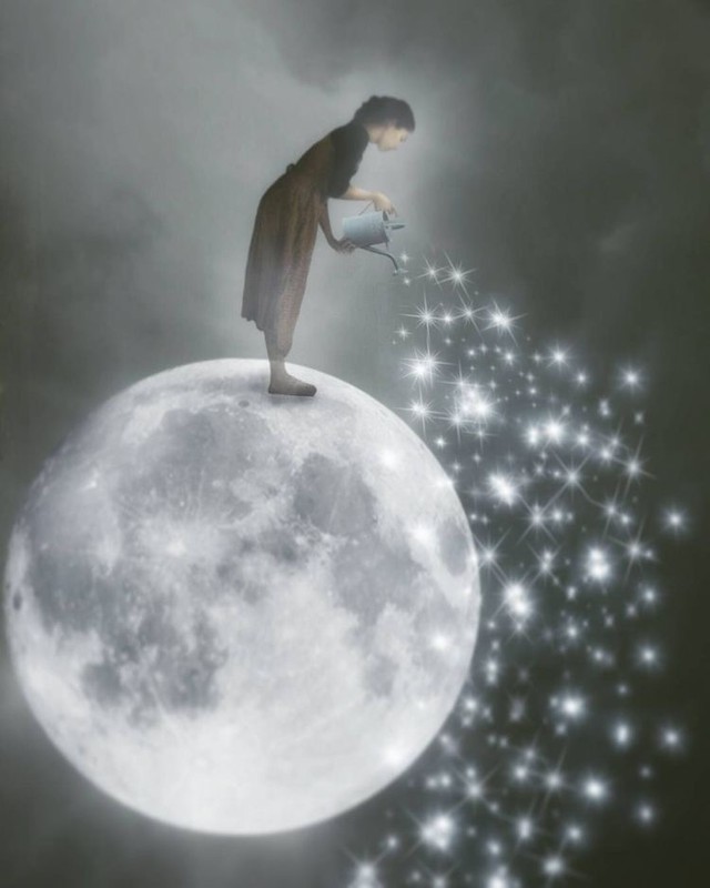 ヒーリングプロテクション Pulumelia