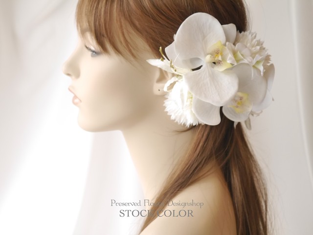 コチョウランとダイヤモンドリリーのヘッドドレス ヘアアクセサリー 結婚式 成人式 ウェディングドレスに Stockcolor