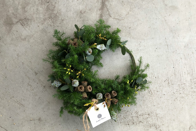 Chamaecyparis pisifera #02