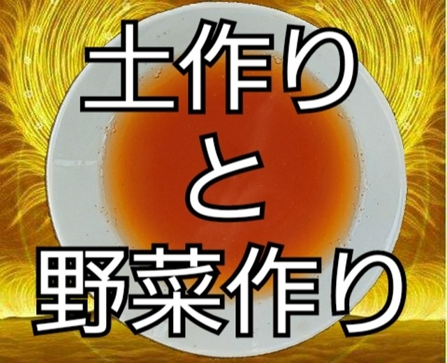 野菜作り土作り 土着菌の活性で根づくり微生物 発根活着促進ズットデルネ Pro５ｋｇ エポック ジャパン ベイス店