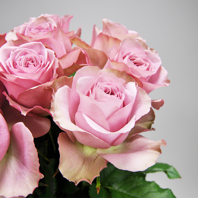Rose ショコラロマンティカ 10本 Ja静岡市 よいはな Yoihana 最高品質のお花をお届けするネット通販