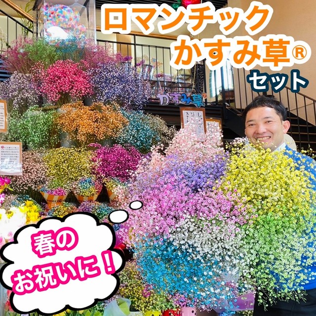 ふわふわブーケ7色入 ロマンチックかすみ草 いわい生花 Base店