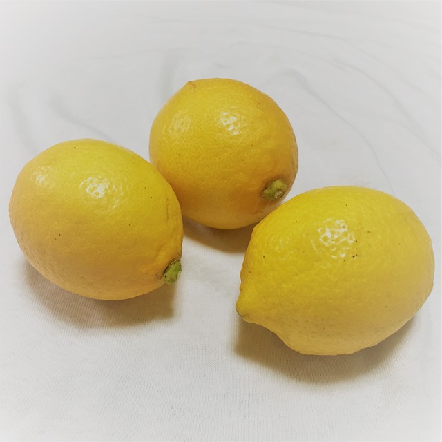国産 レモン 5kg 無農薬栽培 オオシマアコースティック