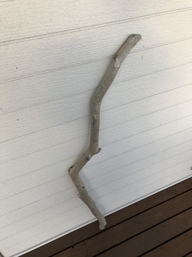 流木 長さ126センチ 直径4センチ 造形美 Marine Branch