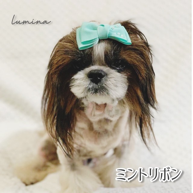 ミントリボン ペット用品 リボン 犬服 犬 猫 夏 ブルー ミント グリーン トップノット Lumina ルミナ