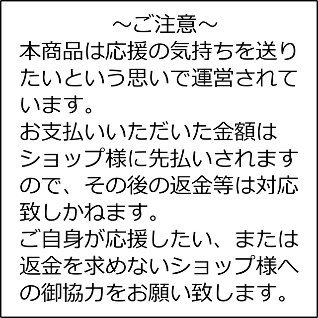 沖縄バブルボックスダイバーズ さきもぐ