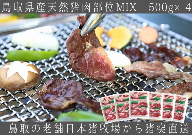 鳥取県産天然猪【焼肉・鍋用】ミックススライス500g×6 計3㎏