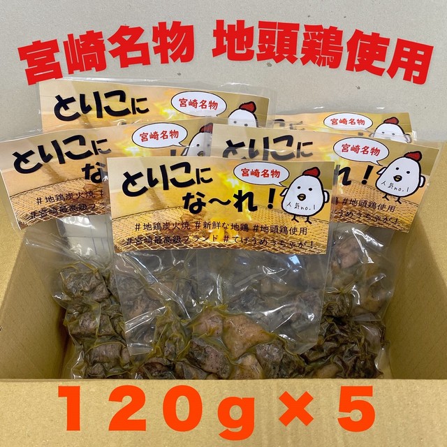 宮崎鶏もも炭火焼1ｇ 5セット おつまみ やみつき 宮崎県産 地鶏 Asahinouen