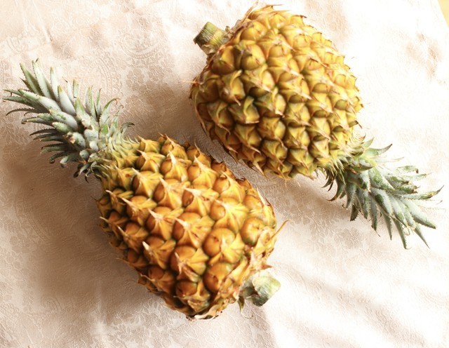 みんなでちぎってご堪能 無農薬 スナックパイン Yasaiyahajime