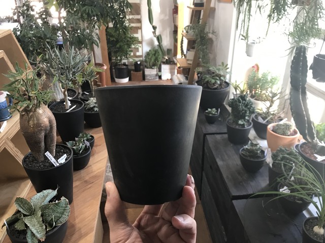 W12 7l プラ鉢 ポット ブラック W12 7cm H12 7cm L 黒プラ鉢 ブラックプラスチックポット Clutch Furniture クラッチ ファニチャー