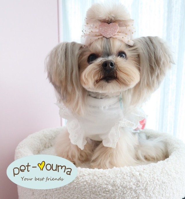 フリル 可愛いペット洋服 ワンピース 犬服 ネコ服 大人気 Melissa