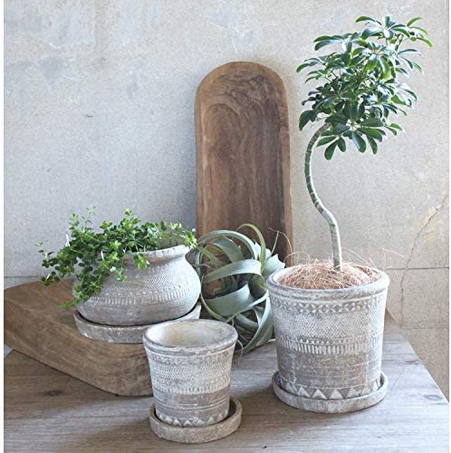 Jpcs Spice Of Life スパイス 植木鉢 オリンポス プランター ブラウン Lサイズ 受け皿付き 底穴あり 直径17 5cm 高さ17 5cm Ccgk1913 Japan Classic Store