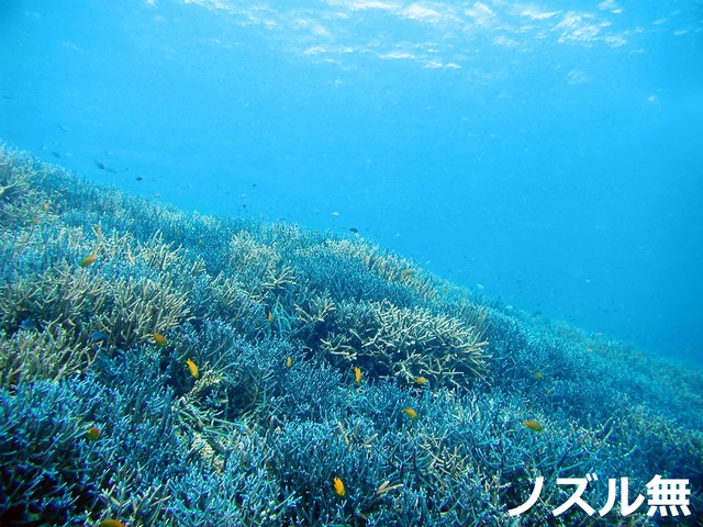 黒潮天然海水 l ノズルコック無し 黒潮天然海水