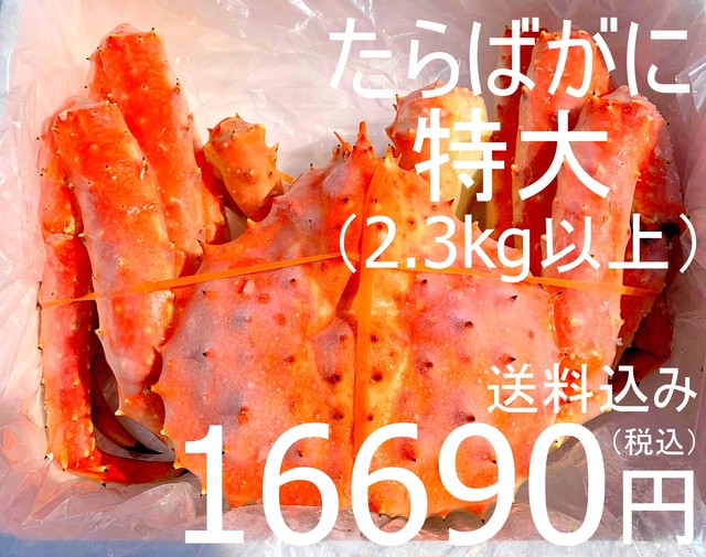 【コロナで在庫過多!半値放出】北海道産 冷凍本タラバガニ 姿・特大(2.3kg以上)16,690円(税・送料込み)お中元に!