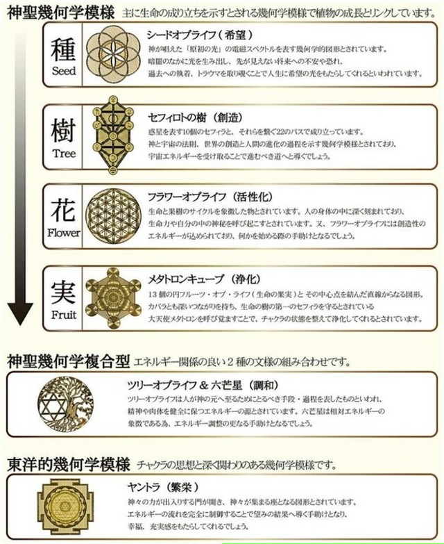 希望 人生に光をもたらす 不安を取り省きたい シードオブライフ エナジーゴールドプレート 天然石 パワーストーン アクセサリー Miracle Drop