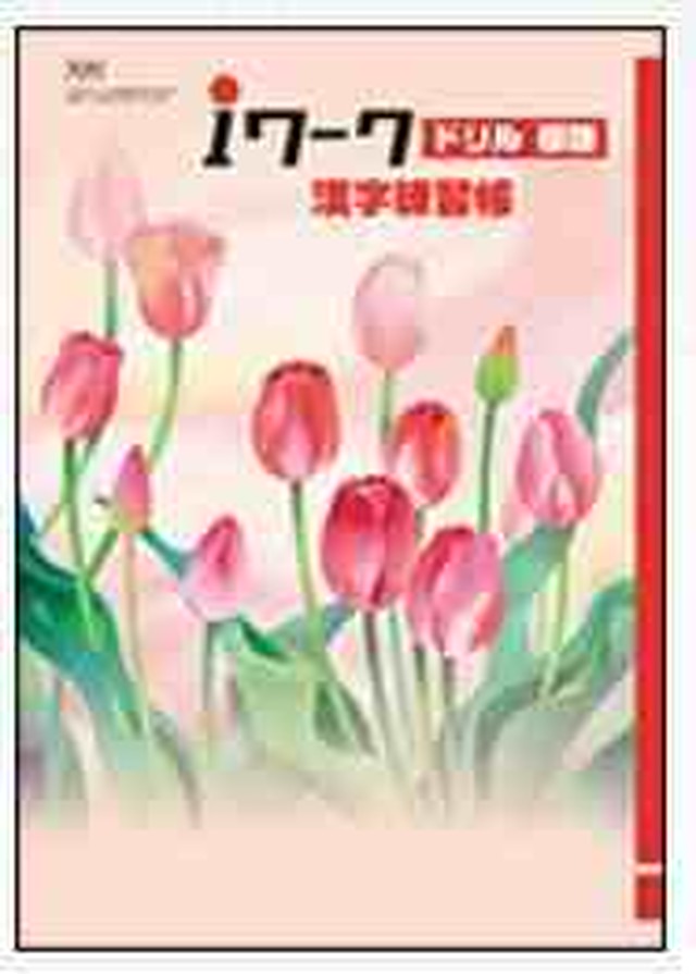 育伸社 Iワーク アイワーク ドリル 国語 中1 漢字練習帳 21年度版 各教科書準拠版 選択ください 問題集本体と別冊解答つき 新品完全セット Isbn なし 育之書店 いくのしょてん