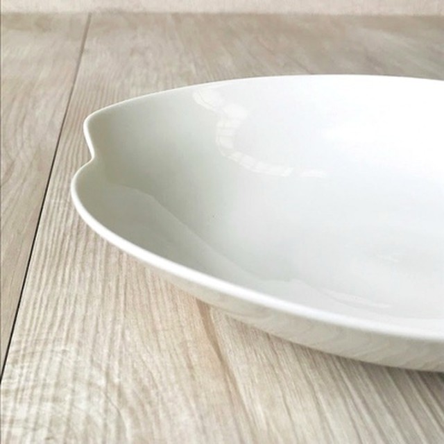 5枚セット 白い食器 プレート 皿 レンジ可 白磁 ポーセラーツにも セレクトショップ Salon Cocomi