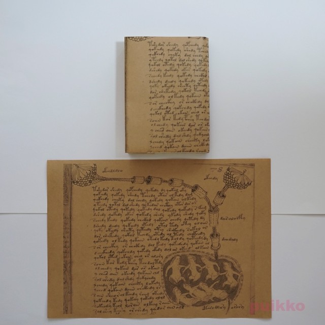 手稿 ヴォイニッチ