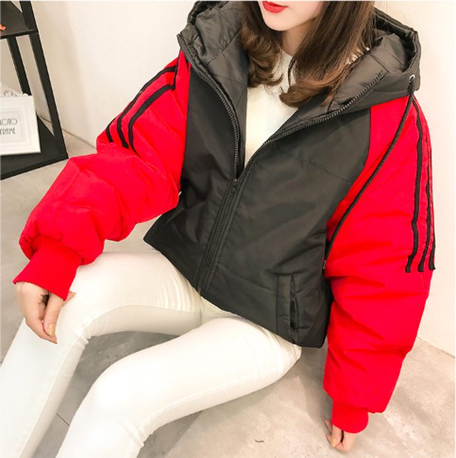 マウンテンパーカー レディース ウィンドブレーカー ライン 中綿 キルティング カジュアル 春 ライン スポーツ 冬 オルチャン Rightsight