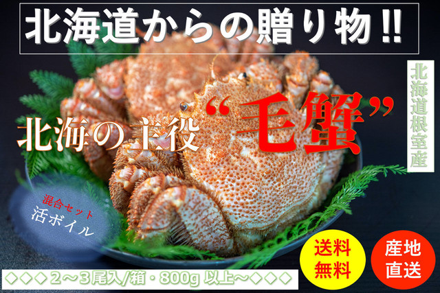 北海道根室産 堅蟹 活ボイル冷凍毛ガニごちゃ混ぜセット 総重量８００g以上2 3尾 箱 数量限定販売 送料無料 こだわり市場