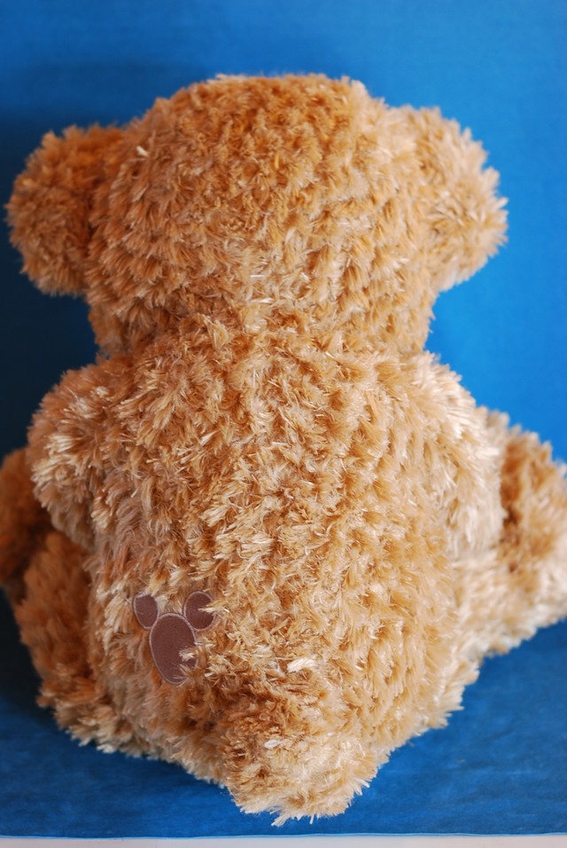 香港限定 Duffy 28インチ ダッフィー 山中湖テディベアワールドミュージアム 湖麺屋リールカフェ