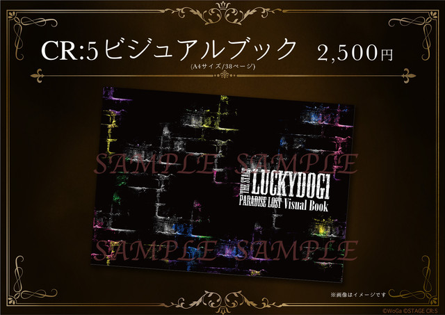 The Stage ラッキードッグ1 First Luck 初演 公演dvd 映劇通信販売