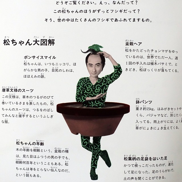 沼田元氣 ぼくは盆栽 月刊たくさんのふしぎ タイムカプセル