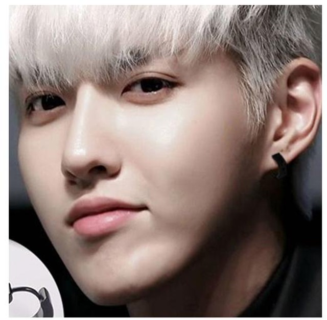 Zafa092 ピアス 黒 ブラック メンズ レディース リングピアス サージカルステンレス製 Harukaze03