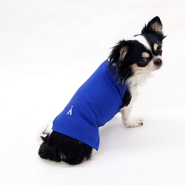 オシャレなポロシャツ ブルー サイズオーダー違い可能 夏にぴったり 犬服 小型犬 中型犬 大型犬 Outtail Dog Outdoor Gear
