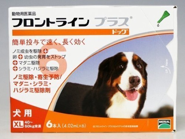 犬用 フロントラインプラス ドッグ Xl 40kg 60kg未満 6ピペット 動物用医薬品 アニマル ライフ サポーター