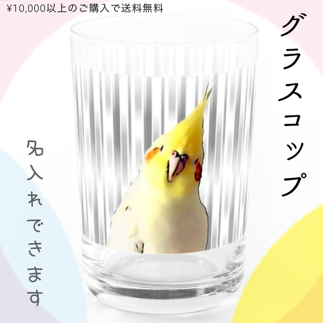 名入れ グラス オカメインコ 鳥グッズ インコグッズ コップ プレゼント ギフト Anaepi Inco