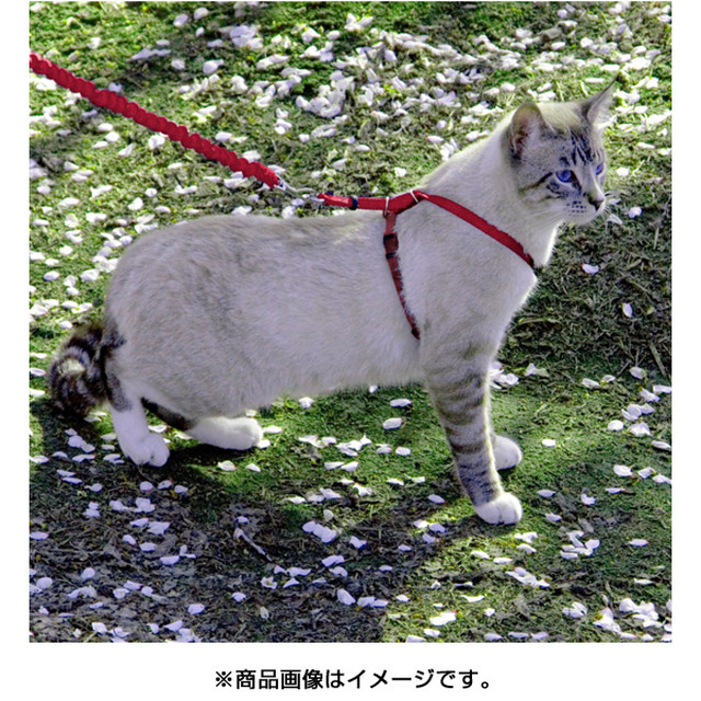 ネコ用ハーネス バンジーリード S 赤 猫用ハーネス 一体型 お散歩グッズ 猫用 軽量 散歩用品 猫リード 子猫 ストレス発散 運動不足 安全 しつけ 愛猫 猫用品 胴輪 引ひも 猫ちゃん用品専門店 きゃっとも Cat Mall