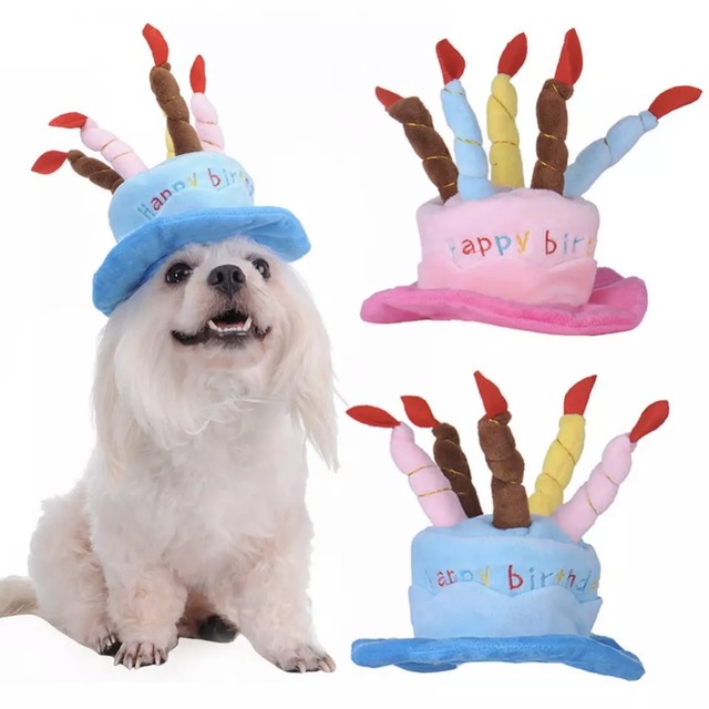 誕生日グッズ Birthday Goods Merry Dog メリードッグ 愛犬のためのペットフード おやつ ペット用品専門店