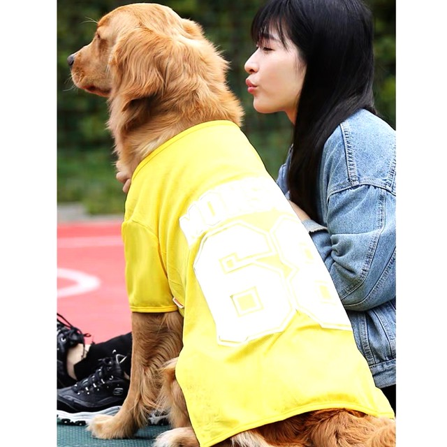 犬服 ペット服 中型犬 大型犬 モンスター68タンク 黄色 3xl 7xl Ronkichimaru ロンキチマル かわいい犬服 猫服 ペット服