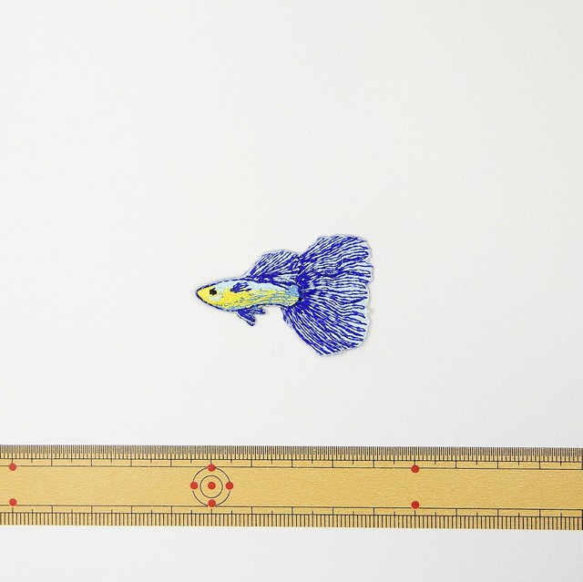 ベタ 熱帯魚 刺繍ワッペン 魚ワッペン Embroidery福工房