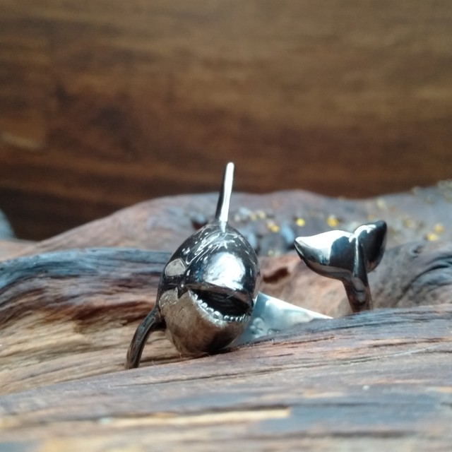 銀河シャチリング オス Flowstar