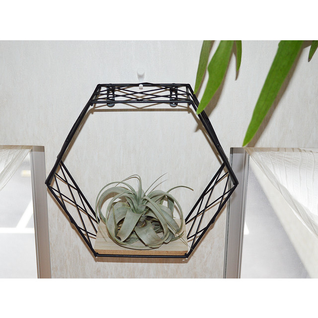 壁掛け ハンキング ラック ｌサイズ 黒 ブラック 六角形 小さめの鉢植えやエアープランツ 雑貨などにもおすすめ ラックのみ植物は商品に含まれません No 024 プランツ グラフィカ エアープランツ 植物となにか