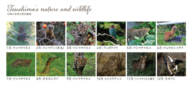 21年カレンダー 川口誠写真集 対馬の自然と野生動物 Tsushima S Nature And Wildlife サステナブルショップ ミット