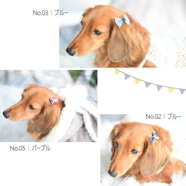 犬 ヘアアクセサリー リボン コーム パッチン ピン 3点セット C Hapi Co