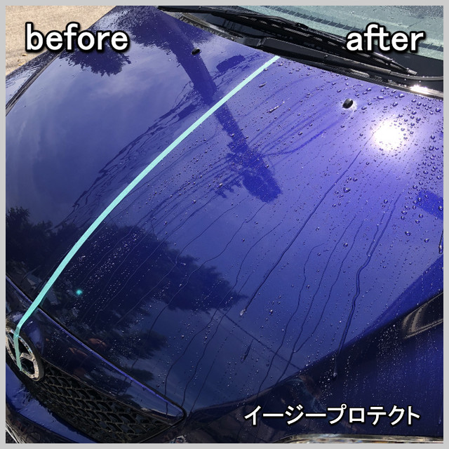 マイエターナル 塗面光沢復元剤250ml イージープロテクト ２層スポンジプレゼント 輝きま専科