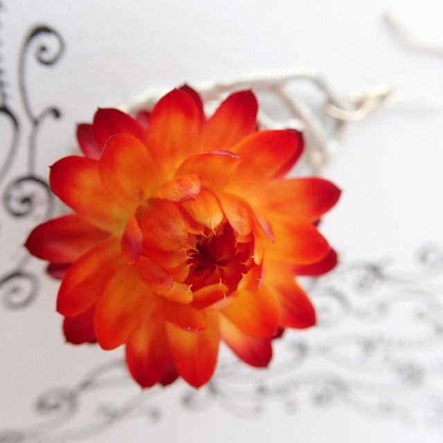 ドライフラワー 帝王貝細工 赤 ピアス イヤリング 鳳来ターシャ 田中佳子