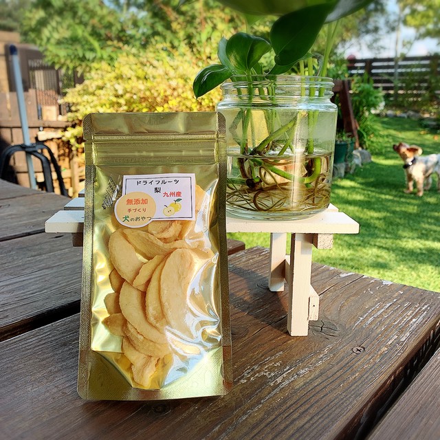 犬の無添加おやつ お砂糖不使用ドライ梨3個 秋限定 わんこin食堂