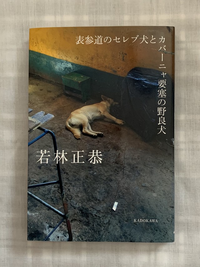 表参道のセレブ犬とカバーニャ要塞の野良犬 ほんのみせ マドカラ