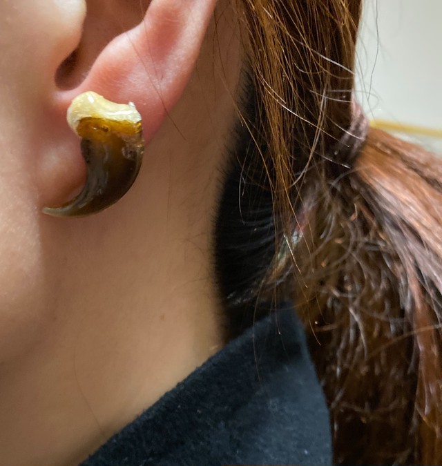 熊さんの爪のピアスs 小さな戦士の爪の跡 Craftsman Of The Bounty Of Nature