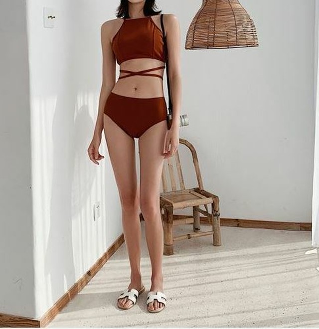 段落 ミニ 頬骨 水着 ハイネック Heianjuken Jp